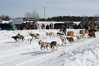 Sled Dog Challenge in Wilton Minnesota