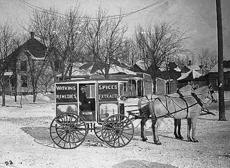 Thomas Brown, salesman for Watkins Company of Winona in his horse-drawn cart, 1900