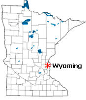 Location of Wyoming Minnesota