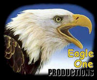 Eagle One Productions Web Design, Cook Minnesota