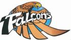 Foley Falcons logo