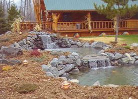 New Waterfall 2005