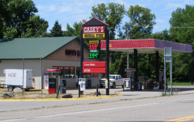 Casey's General Store, Elysian Minnesota