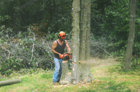Jim's Tree Service, Foley Minnesota