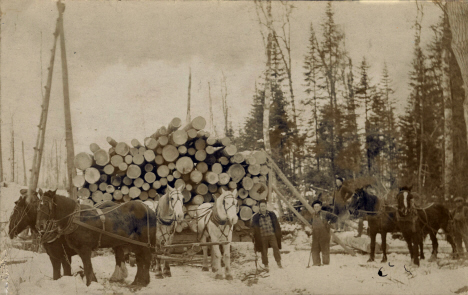 View of the Wolcott family logging and lumbering operations near Kelliher Minnesota, 1914