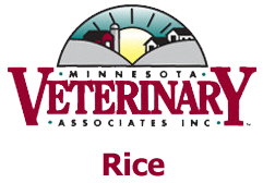 Minnesota Veterinary Associates, Rice Minnesota