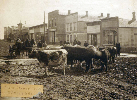 Main Street, Spring Grove Minnesota, 1900