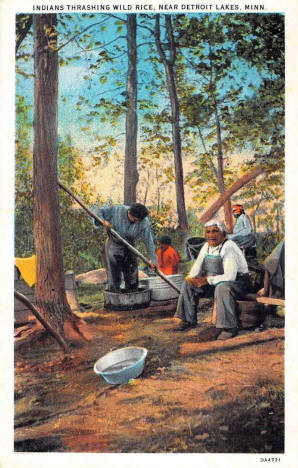 Indians thrashing Wild Rice near Detroit Lakes Minnesota, 1930