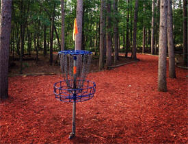 Blue Ribbon Pines Disc Golf Course, East Bethel Minnesota
