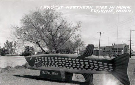 Largest Northern Pike in Minnesota, Erskine Minnesota, 1950's