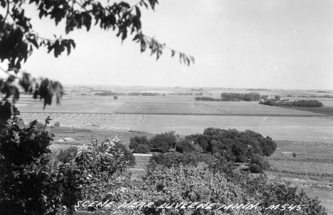 Farm scene, Luverne Minnesota, 1950's