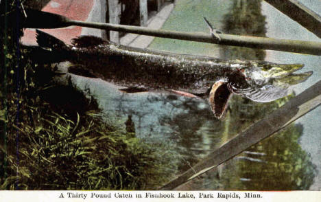 A Thirty Pound Catch in Fishhook Lake, Park Rapids Minnesota, 1910's