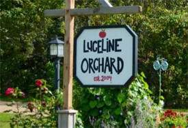 Luceline Orchard, Watertown Minnesota