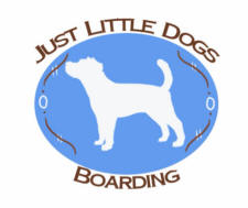 Just Little Dogs Boarding, Watertown Minnesota