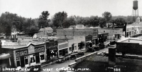 Birdseye view of West Concord Minnesota, 1929