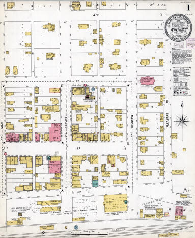 Sanborn Fire Insurance Map of Winthrop Minnesota, 1905