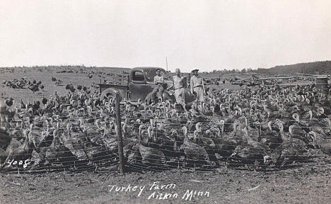 Turkey Farm, Aitkin Minnesota, 1940's