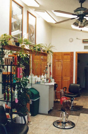 erri's Hair Salon, Bowlus Minnesota, 2003