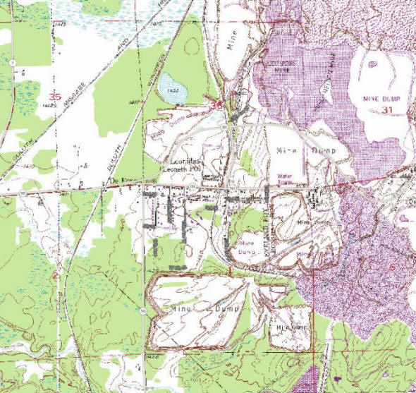 Topographic map of the Leonidas Minnesota area