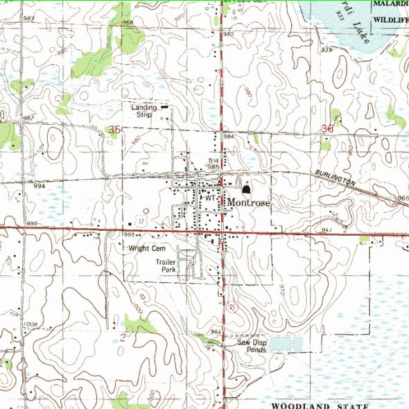 Topographic map of the Montrose Minnesota area