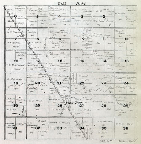 Plat map of Gorton Township in Grant County Minnesota, 1916