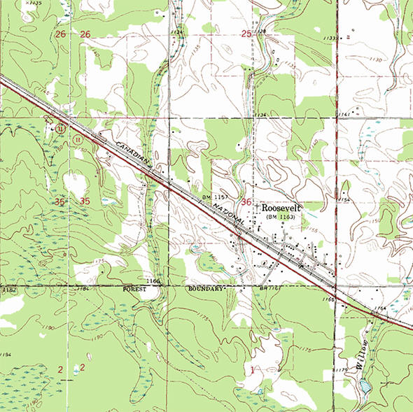 Topographic map of the Roosevelt Minnesota area