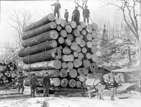 Load of logs from Clark and Jackson camp number one, Wrenshall Minnesota, 1899